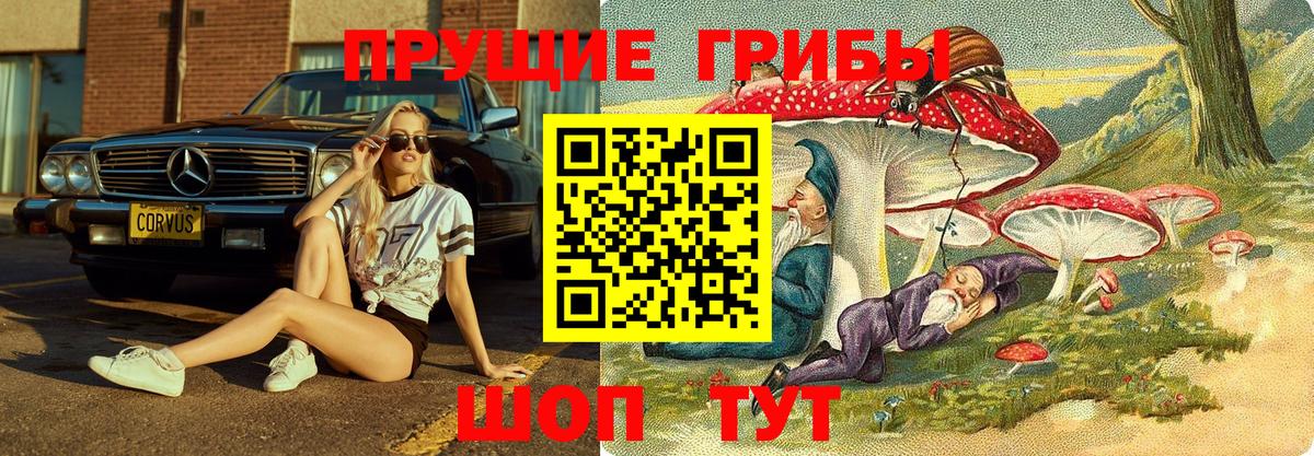 Киреевск  Галлюциногенные грибы мицелий  Вход с VPN 