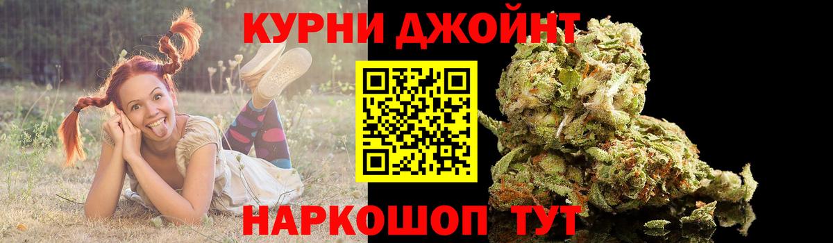 Бошки Шишки ГИДРОПОН  Марихуана план  Вход с VPN  Шишки марихуана конопля  Киреевск  Бошки Шишки тримм 